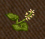Spark Flower.png